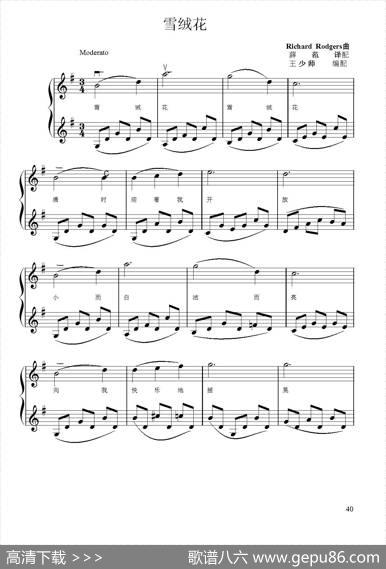 《雪绒花》（小提琴二重奏）|RichardRodgers曲