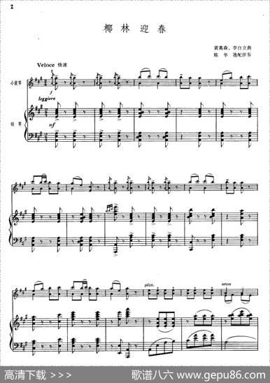 椰林迎春（小提琴+钢琴伴奏）|黄英森、李自立曲，陈华逸配伴奏