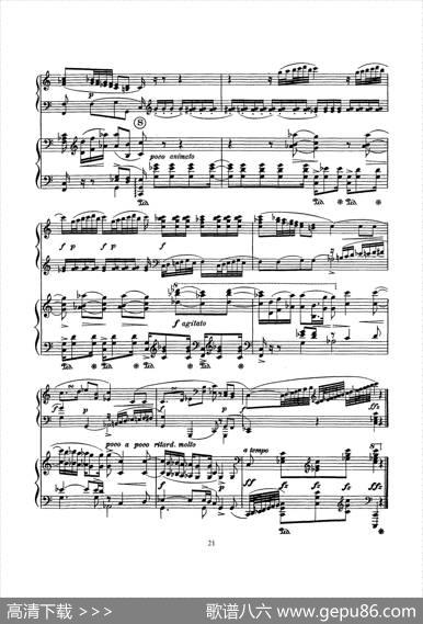 根据21首钢琴奏鸣曲改编的双钢琴版钢琴奏鸣曲四首（第一首）|沃尔夫冈·阿玛多伊斯·莫扎特曲、格里格改编