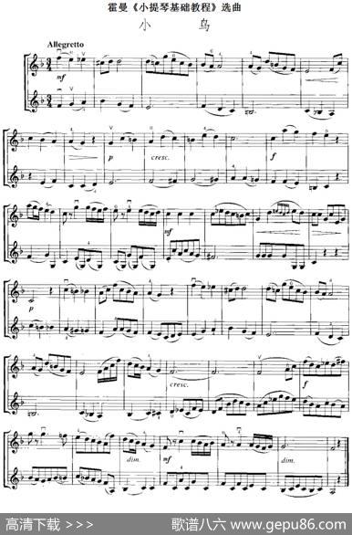 霍曼《小提琴基础教程》选曲：小鸟（二重奏）