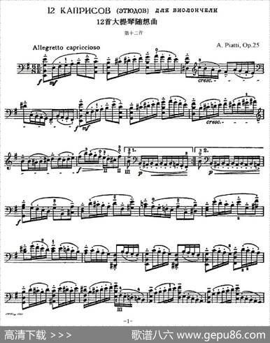A.Piatti12CapriceOp.25（皮阿蒂12首大提琴随想曲)第十二）