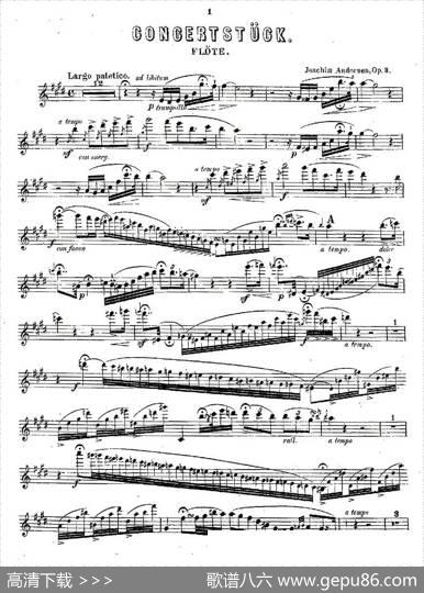 Concertstück.Op.3.-flutepartonly