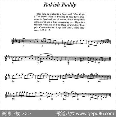 RakishPaddy（爱尔兰民歌）