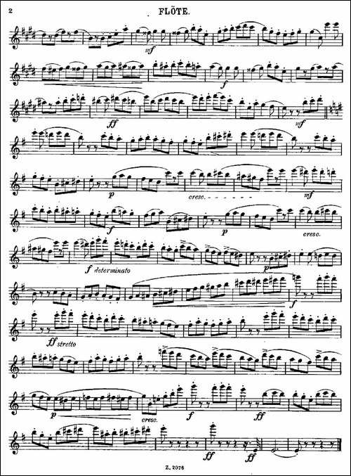 Tarantelle-Op.55-No.8-长笛五线谱|长笛谱