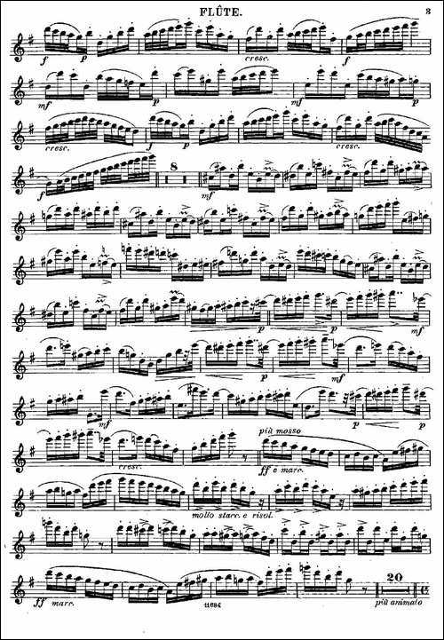 Introduction-et-Caprice-Op.58-长笛五线谱|长笛谱