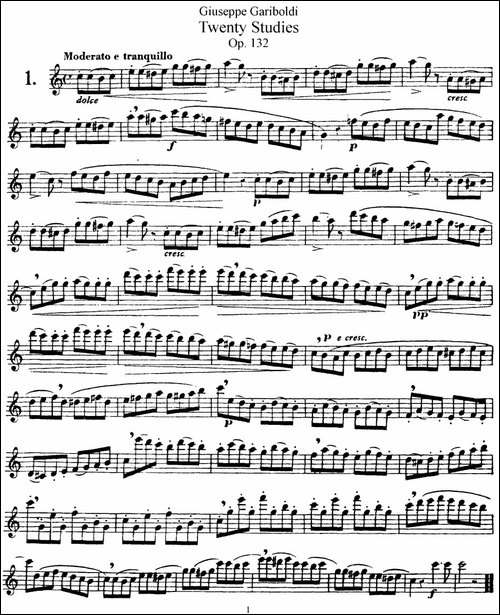 二十首练习曲作品132号之1-长笛五线谱|长笛谱