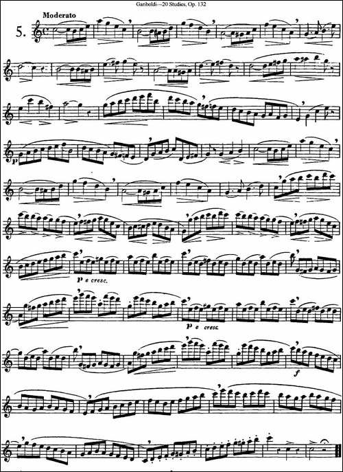 二十首练习曲作品132号之5-长笛五线谱|长笛谱
