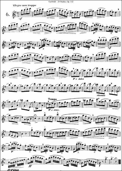 二十首练习曲作品132号之6-长笛五线谱|长笛谱