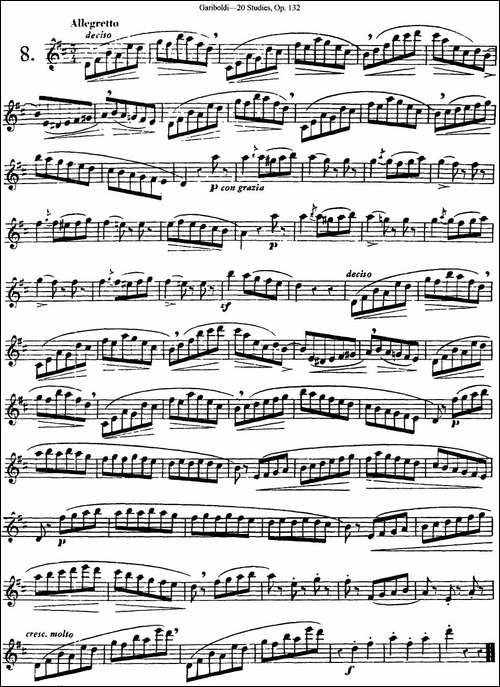 二十首练习曲作品132号之8-长笛五线谱|长笛谱