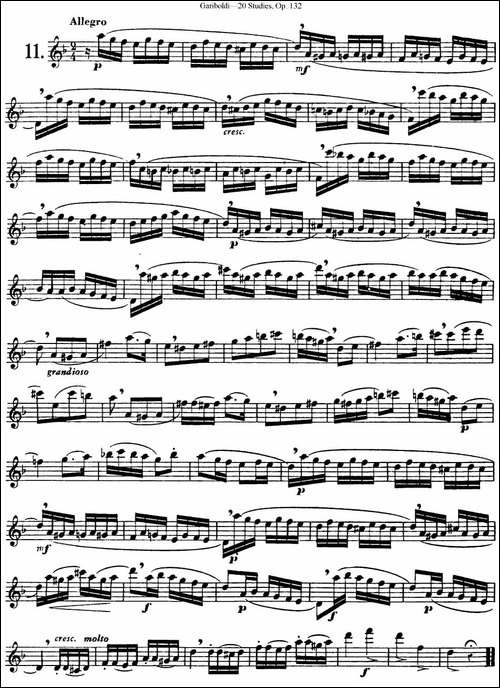 二十首练习曲作品132号之11-长笛五线谱|长笛谱