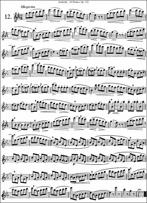 二十首练习曲作品132号之12-长笛五线谱|长笛谱