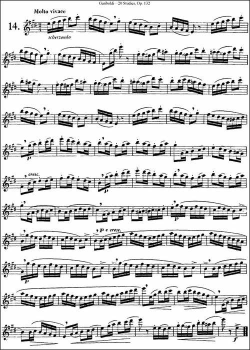 二十首练习曲作品132号之14-长笛五线谱|长笛谱