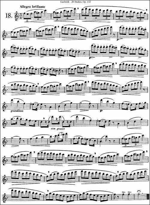 二十首练习曲作品132号之18-长笛五线谱|长笛谱