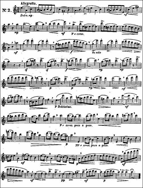 二十首练习曲作品131号-NO.2-长笛五线谱|长笛谱