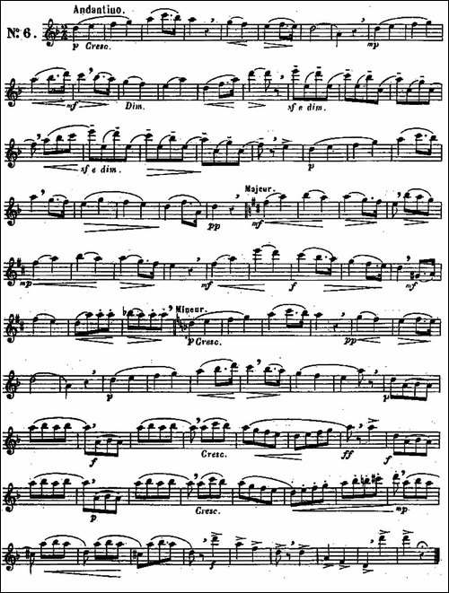 二十首练习曲作品131号-NO.6-长笛五线谱|长笛谱