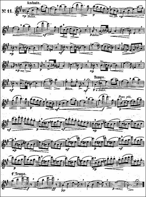 二十首练习曲作品131号-NO.11-长笛五线谱|长笛谱