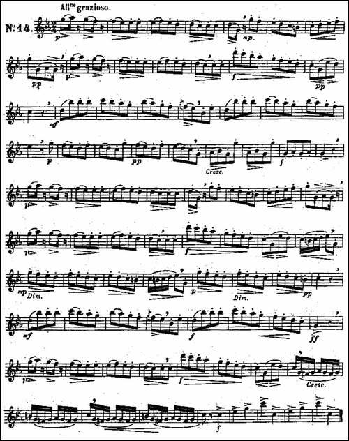 二十首练习曲作品131号-NO.14-长笛五线谱|长笛谱