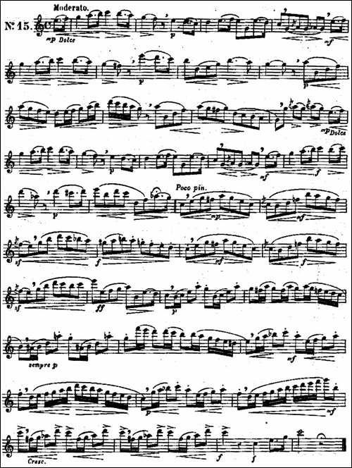 二十首练习曲作品131号-NO.15-长笛五线谱|长笛谱