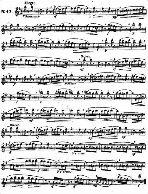 二十首练习曲作品131号-NO.17-长笛五线谱|长笛谱