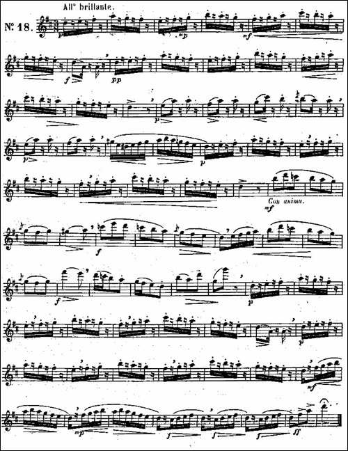 二十首练习曲作品131号-NO.18-长笛五线谱|长笛谱