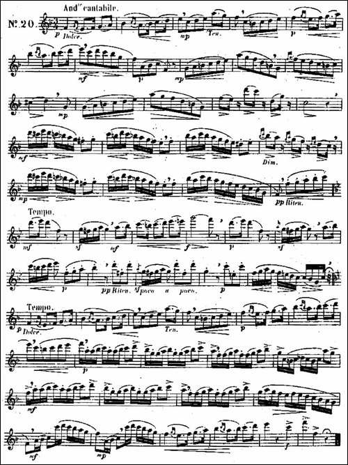 二十首练习曲作品131号-NO.20-长笛五线谱|长笛谱