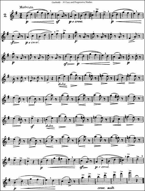 三十首基础及提高练习曲-NO.2-长笛五线谱|长笛谱