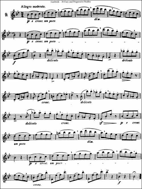 三十首基础及提高练习曲-NO.9-长笛五线谱|长笛谱