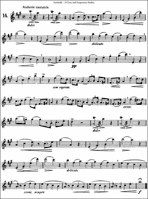 三十首基础及提高练习曲-NO.14-长笛五线谱|长笛谱