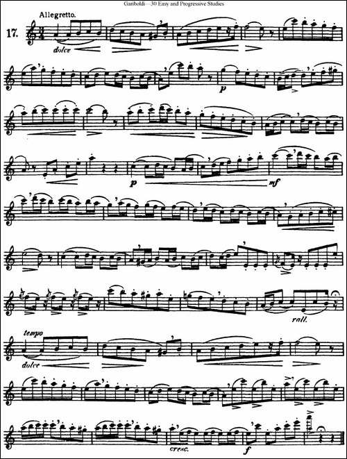 三十首基础及提高练习曲-NO.17-长笛五线谱|长笛谱