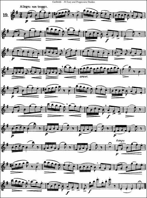 三十首基础及提高练习曲-NO.19-长笛五线谱|长笛谱
