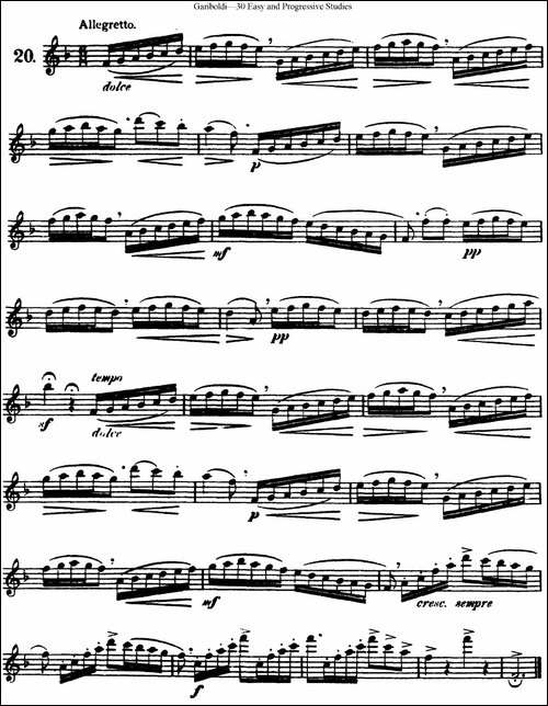 三十首基础及提高练习曲-NO.20-长笛五线谱|长笛谱