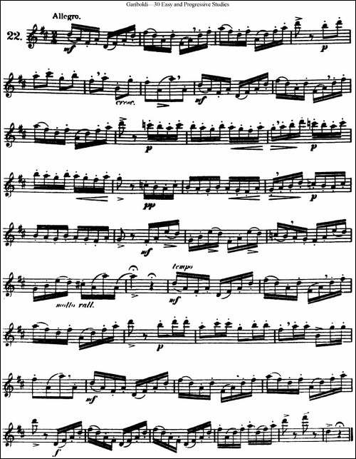 三十首基础及提高练习曲-NO.22-长笛五线谱|长笛谱