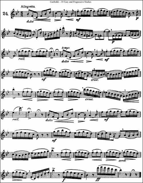 三十首基础及提高练习曲-NO.24-长笛五线谱|长笛谱