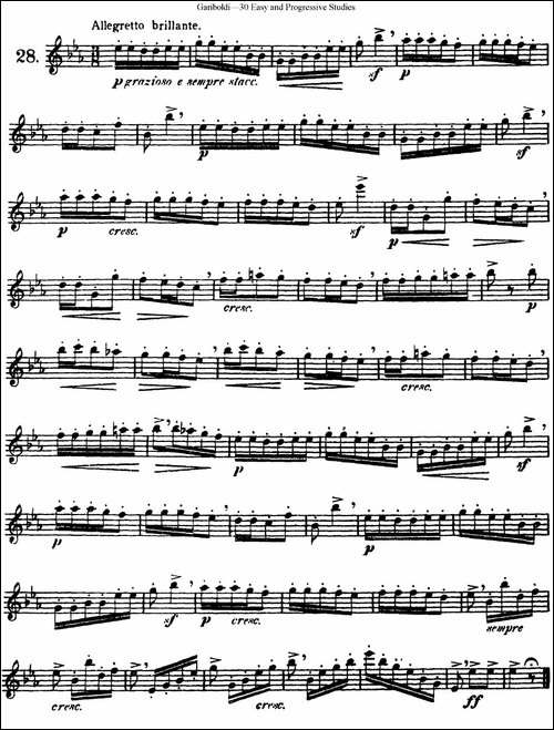 三十首基础及提高练习曲-NO.28-长笛五线谱|长笛谱