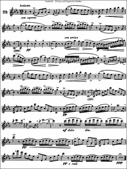 三十首基础及提高练习曲-NO.29-长笛五线谱|长笛谱