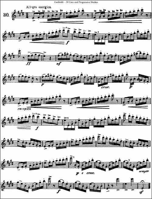 三十首基础及提高练习曲-NO.30-长笛五线谱|长笛谱