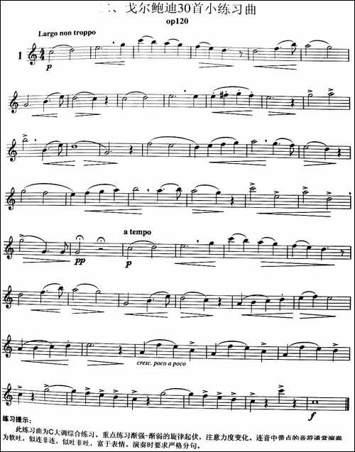三十首小练习曲作品120号-NO.1-长笛五线谱|长笛谱