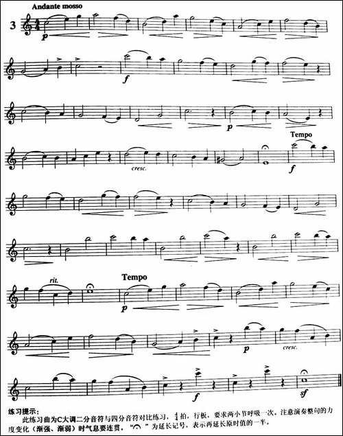 三十首小练习曲作品120号-NO.3-长笛五线谱|长笛谱