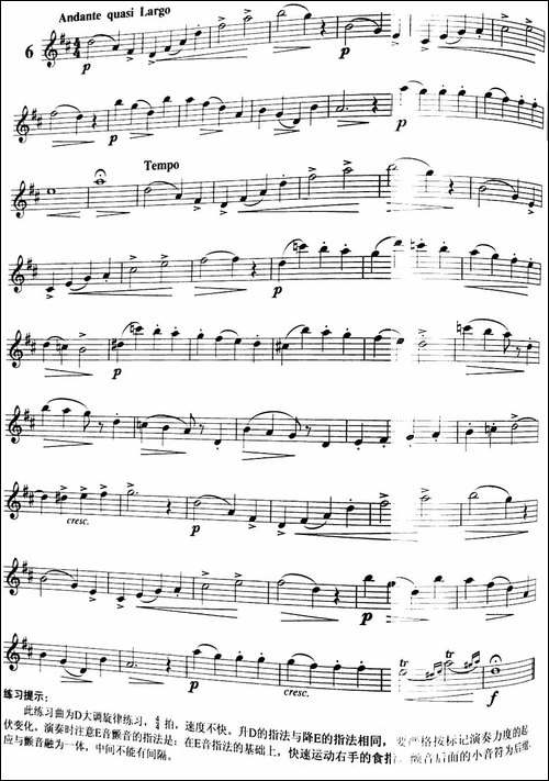 三十首小练习曲作品120号-NO.6-长笛五线谱|长笛谱
