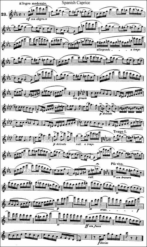 柯勒25首浪漫长笛练习曲作品66号-NO.23-长笛五线谱|长笛谱