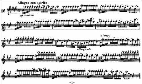 柯勒30首高级长笛练习曲作品75号-NO.16-长笛五线谱|长笛谱