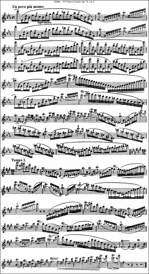 柯勒30首高级长笛练习曲作品75号-NO.18-长笛五线谱|长笛谱