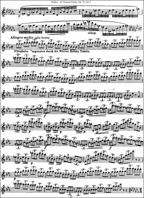 柯勒30首高级长笛练习曲作品75号-NO.24-长笛五线谱|长笛谱