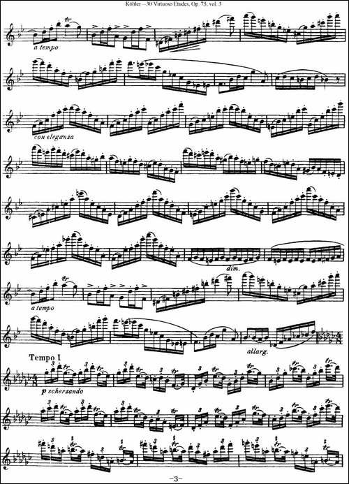 柯勒30首高级长笛练习曲作品75号-NO.25-长笛五线谱|长笛谱