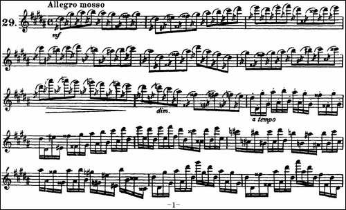柯勒30首高级长笛练习曲作品75号-NO.29-长笛五线谱|长笛谱