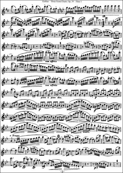 库劳长笛二重奏大练习曲Op.39——Flute-1-No.2-长笛五线谱|长笛谱