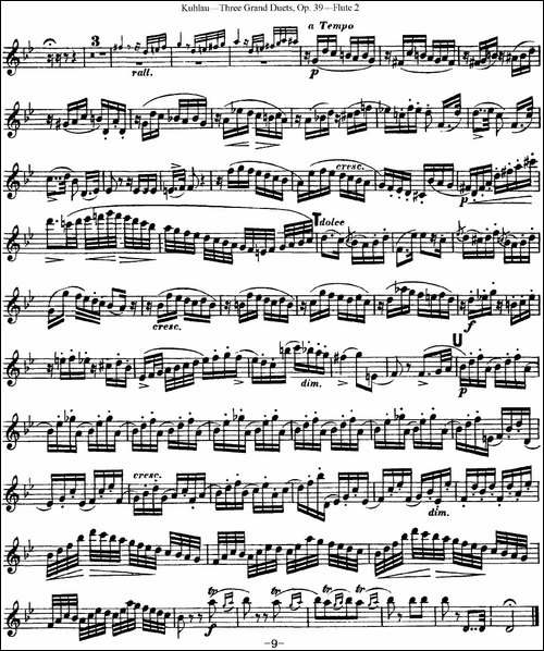 库劳长笛二重奏大练习曲Op.39——Flute-2-No.2-长笛五线谱|长笛谱