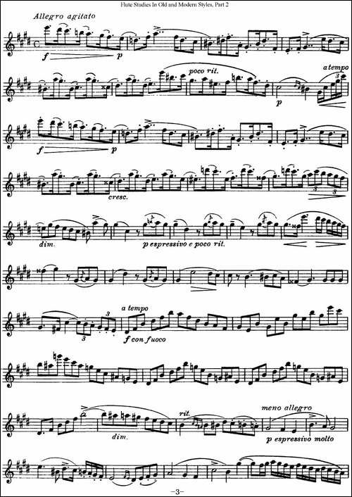 斯勒新老风格长笛练习重奏曲-第二-NO.21-长笛五线谱|长笛谱