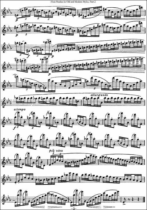 斯勒新老风格长笛练习重奏曲-第二-NO.32-长笛五线谱|长笛谱
