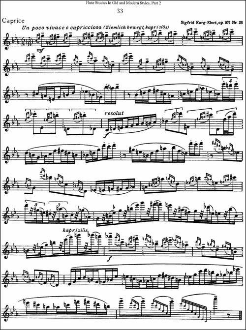 斯勒新老风格长笛练习重奏曲-第二-NO.33-长笛五线谱|长笛谱